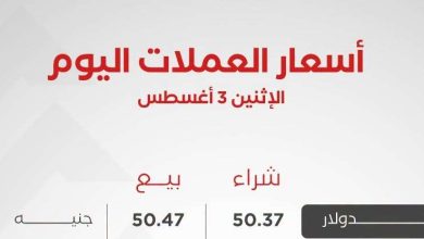 أسعار العملات العربية والأجنبية اليوم الإثنين 3 أغسطس 2026