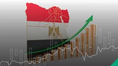 إشادة دولية.. منظمة التعاون الاقتصادي والتنمية تؤكد تحسن تنافسية الاقتصاد المصري