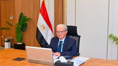 إيرادات 18.9 مليار جنيه وأرباح 3.6 مليار مستهدفة لـ"القابضة للأدوية" في 2026-2027