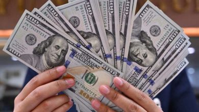 استقرار سعر الدولار أمام الجنيه المصري اليوم الاثنين 3 أغسطس 2026 في البنوك
