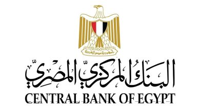 البنك المركزي المصري يطلق البوابة الإلكترونية للجنة الاستقرار المالي الإفريقية بالتعاون مع جمعية البنوك المركزية الإفريقية