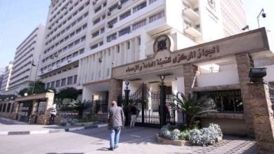 التعبئة والإحصاء: 47.1% مساهمة الشباب في قوة العمل بالسوق