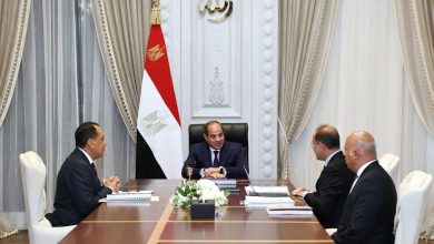 الرئيس السيسي يوجه بتشكيل لجنة لتفقد المشاريع العقارية بالمحافظات.. تفاصيل