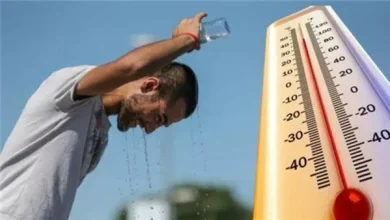 الطقس اليوم.. رياح نشطة وشبورة صباحية وأجواء شديدة الحرارة بهذه المناطق