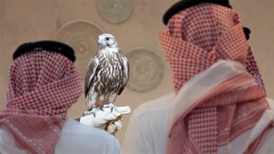 المزاد الدولي لمزارع إنتاج الصقور 2026 ينطلق في الرياض بمشاركة مزارع عالمية وصفقات مرتقبة