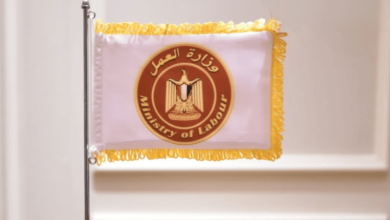 برواتب 15 ألف جنيه.. وزارة العمل تعلن فرص عمل جديدة متاحة للشباب «اعرف الشروط وطريقة التقديم»