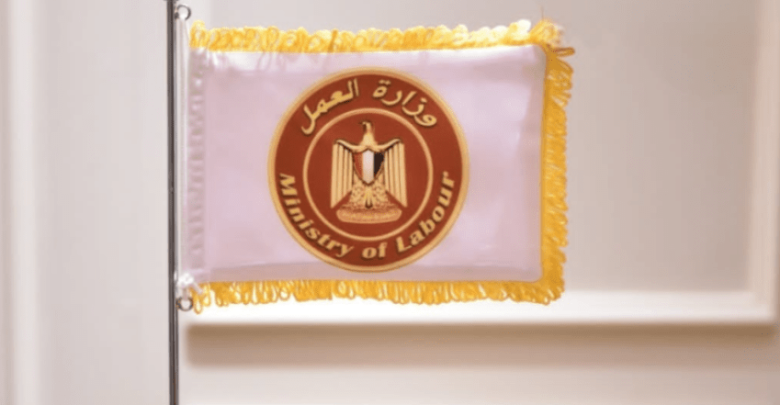 برواتب 15 ألف جنيه.. وزارة العمل تعلن فرص عمل جديدة متاحة للشباب «اعرف الشروط وطريقة التقديم»