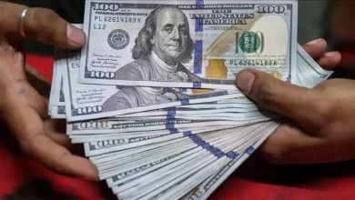 تحت سقف الـ51 جنيهاً.. استقرار سعر الدولار مقابل الجنيه في البنوك المصرية اليوم الثلاثاء 4 أغسطس 2026
