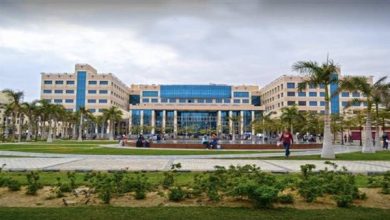 جامعة العلمين الدولية تعلن عن وظائف أكاديمية شاغرة.. وظيفة جامعة