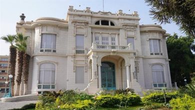 جامعة عين شمس تطلق برنامجًا متخصصًا لإعداد خبراء البحث القانوني الرقمي
