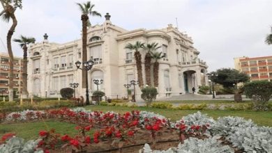 جامعة عين شمس تفتح التسجيل بالدراسات العليا 2026 2027 بشروط جديدة