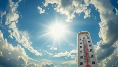 حالة الطقس الأيام المقبلة.. الأرصاد تكشف حقيقة العاصفة الترابية وتحذر من الشبورة والرطوبة
