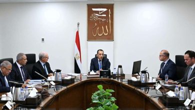 رئيس الوزراء يناقش مقترحات نقل ملكية عدد من الشركات القابضة وشركاتها التابعة من قطاع الأعمال العام