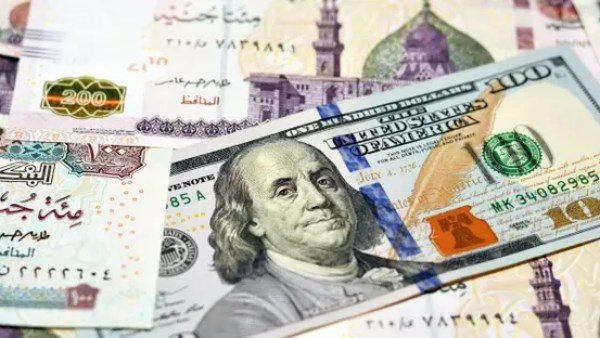 سعر الدولار اليوم الجمعة 14 أغسطس 2026.. استقرار العملة الخضراء بالبنوك