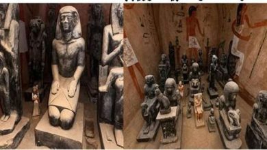 سقوط تشكيل عصابي بحوزته 150 كيلو ممنوعات و90 قطعة أثرية بالجيزة