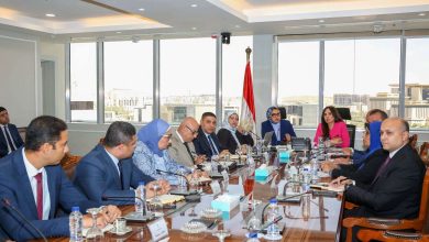 شقق ومحطات مياه.. وزيرة الإسكان ومحافظ الوادي الجديد تبحثان الملفات التنموية