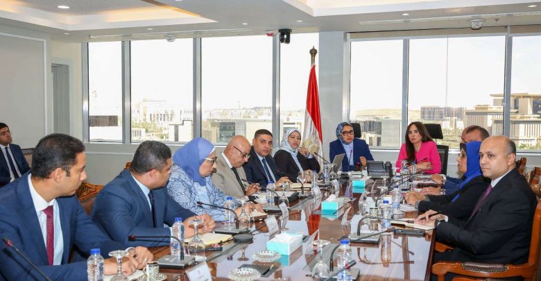 شقق ومحطات مياه.. وزيرة الإسكان ومحافظ الوادي الجديد تبحثان الملفات التنموية