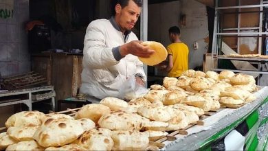 عاجل |  التموين تكشف السعر الجديد لـ رغيف الخبز السياحي والفينو.. تفاصيل هامة للمواطنين