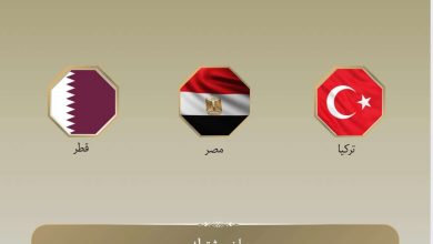 عاجل.. بيان مشترك لمصر وقطر وتركيا بشأن الانتهاكات الإسرائيلية في غزة