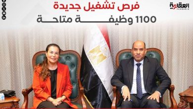 فرص تشغيل جديدة.. 1100 وظيفة متاحة