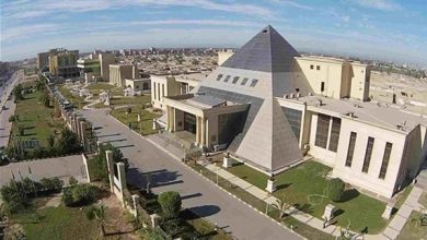 قدم الآن.. جامعة النهضة تعلن عن وظائف لأعضاء هيئة التدريس والهيئة المعاونة 2026.. وظيفة جامعة