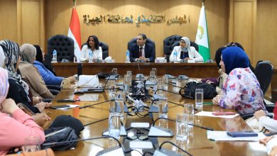 محافظة الجيزة تواصل نشر الوعي بالأمن السيبراني بندوة تستهدف المرأة وذوي الهمم