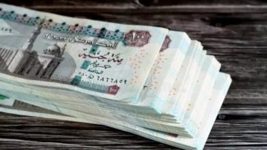 مرتبات شهر أغسطس 2026.. وزارة المالية تعلن المواعيد الرسمية للموظفين والزيادة الجديدة
