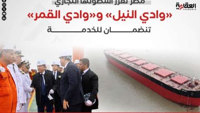 مصر تعزز أسطولها التجاري.. «وادي النيل» و«وادي القمر» تنضمان للخدمة