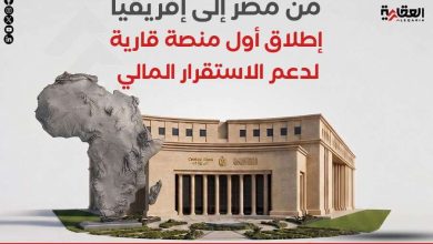 من مصر إلى إفريقيا.. إطلاق أول منصة قارية لدعم الاستقرار المالي