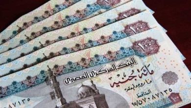 موعد صرف معاش تكافل وكرامة أغسطس 2026.. خطوات الاستعلام وشروط الاستحقاق
