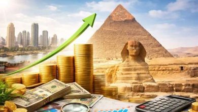 هشام إبراهيم: نمو الاقتصاد المصري بأكثر من 5.2% مؤشر إيجابي رغم التوترات الجيوسياسية