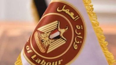 وزارة العمل تعلن توفير 1100 وظيفة للشباب.. تفاصيل التقديم