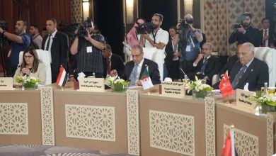 وزير الخارجية من عمان: القضية الفلسطينية تمر بمنعطف هو الأخطر في تاريخها.. ومصر ترفض تهجير الفلسطينيين
