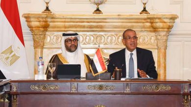 وزير الخارجية يعلن عن آلية تمويلية جديدة لدعم توسع الشركات المصرية في الأسواق الأفريقية