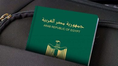 وزير الداخلية يأذن لـ21 مصريا بالتجنس بجنسيات أجنبية