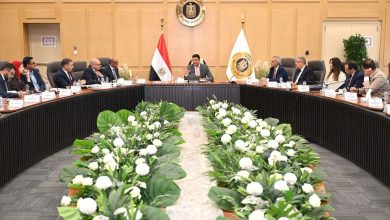 وزير الصناعة: نستهدف تجاوز مرحلة التجميع إلى بناء منظومة تصنيع سيارات متكاملة