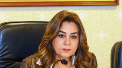 وزيرة التنمية المحلية والبيئة توجه بتطوير أداء الوحدات المحلية وتحسين النظافة