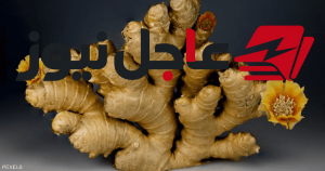 دور الأعشاب في تنظيم سكر الدم بين نتائج الدراسات وتحويلها لمشروبات يومية