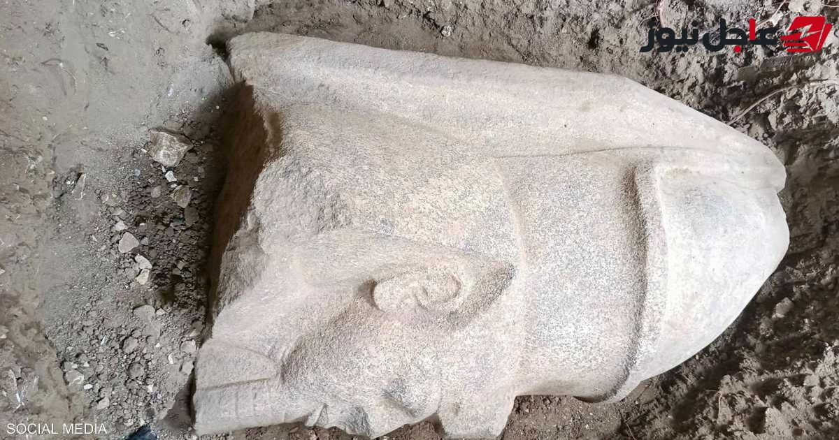 اكتشاف أثري كبير في مصر يقوده مواطن مصري بالصدفة