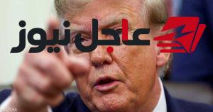 ترامب يطالب زيلينسكي باتفاق لإنهاء الحرب بين أوكرانيا وروسيا