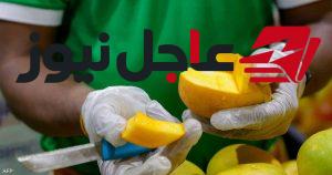 المانغو مسموح لمرضى السكري مع ضرورة مراقبة مستويات السكر وفق نصائح الخبراء