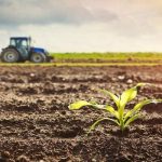 لوتس للتنمية تعلن نتائج الاكتتاب في زيادة رأس المال