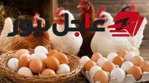 أسعار الدواجن والبانيه تتغير اليوم السبت.. تعرف على سعر الكيلو في السوق