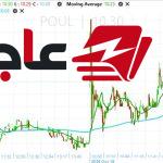 سهم القاهرة للدواجن يرتفع 4% عقب اعتماد مقترح توزيعات الأرباح