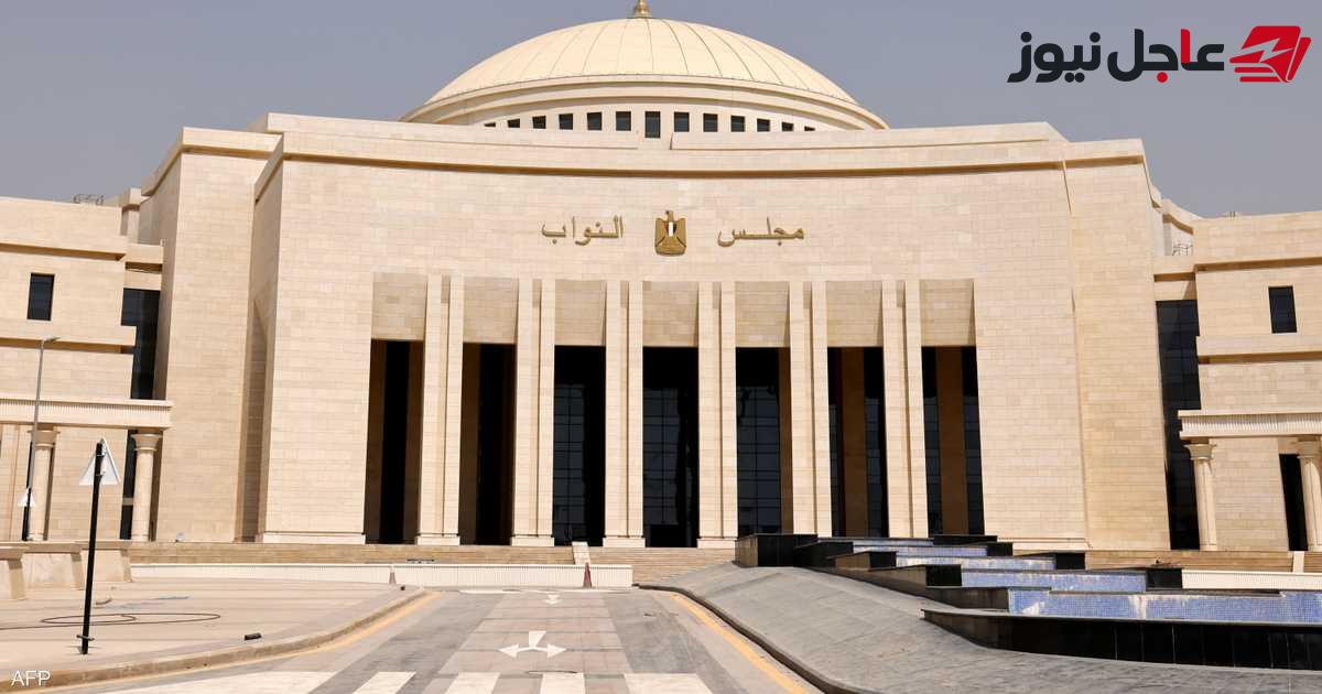 برلمان مصر يؤجل قرار إقرار الدعم العسكري للسعودية ويكشف أسباب التأجيل
