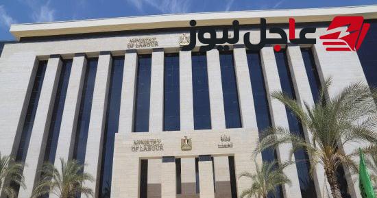 فرص عمل موسمية في القطاع الزراعي بإسبانيا براتب يصل إلى 64 ألف جنيه والتقديم ينتهي قريبًا