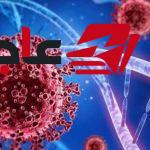 فيروس شاموندا يثير القلق بعد تسجيل أول حالة إصابة في فرنسا وأبرز المعلومات عنه