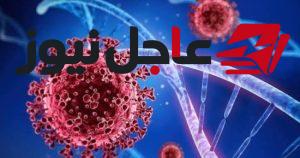 فيروس شاموندا يثير القلق بعد تسجيل أول حالة إصابة في فرنسا وأبرز المعلومات عنه