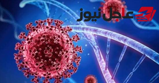 فيروس شاموندا يثير القلق بعد تسجيل أول حالة إصابة في فرنسا وأبرز المعلومات عنه