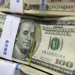 محافظ البنك المركزي المصري يوضح أسباب عدم تبني مصر لسعر صرف ثابت